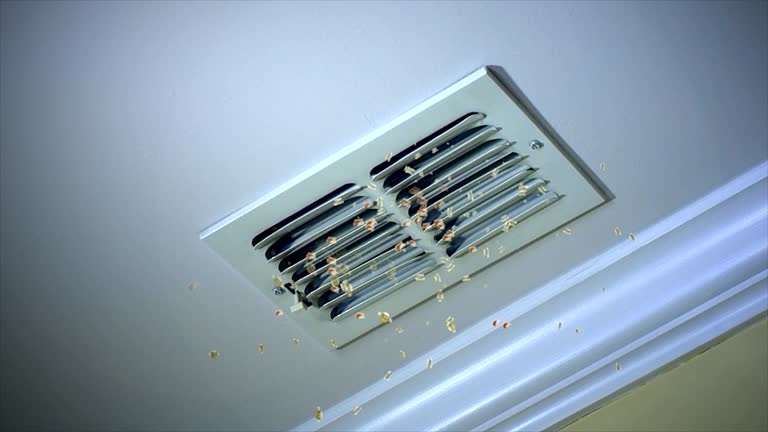 Best HVAC Duct Inspection Services  in Man, IL